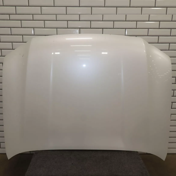 Lexus GX460 Hood for Sale